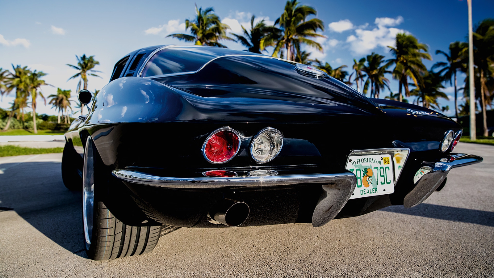 ARES Modena Corvette C2 Stingray